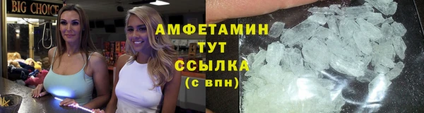 ГАЛЛЮЦИНОГЕННЫЕ ГРИБЫ Аркадак