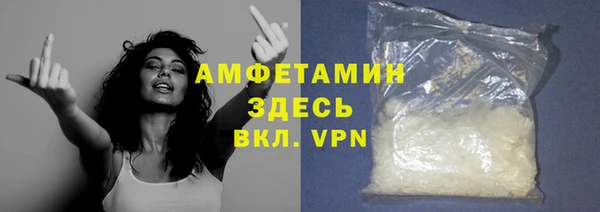шишки Каменногорск