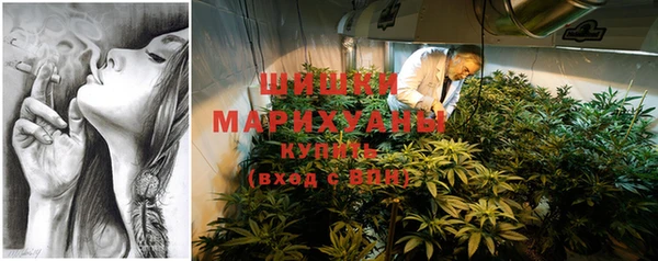 ГАЛЛЮЦИНОГЕННЫЕ ГРИБЫ Аркадак