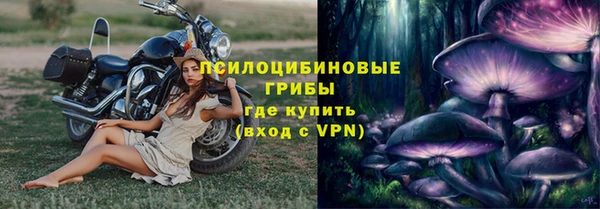 винт Армянск