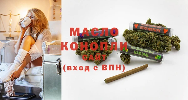 ГАЛЛЮЦИНОГЕННЫЕ ГРИБЫ Аркадак