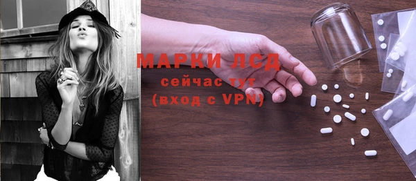 ГАЛЛЮЦИНОГЕННЫЕ ГРИБЫ Аркадак
