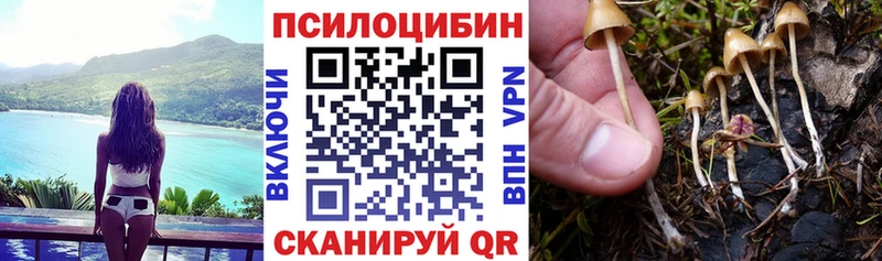 Галлюциногенные грибы Cubensis  ОМГ ОМГ ссылки  Оленегорск  цены  